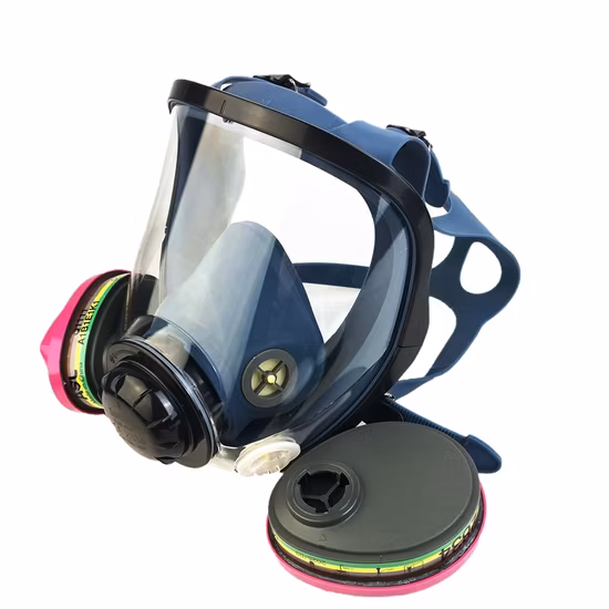 새로운 유형의 이중 필터 안전 방독면 나일론 가방 포장 전면 휴대용 방독면